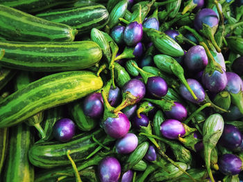 Pile of purple eggplants and fresh green cucumbers with selective focus