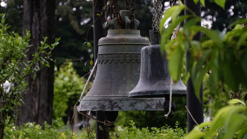 Close-up of electric lamp hanging on plant in field