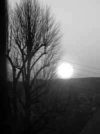 Low angle view of silhouette trees against sky during sunset