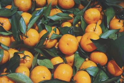 Full frame shot of fruits for sale in market