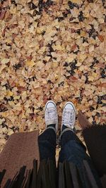 Low section of person standing on maple leaves during autumn