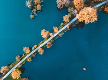 Aerial view of road amidst sea