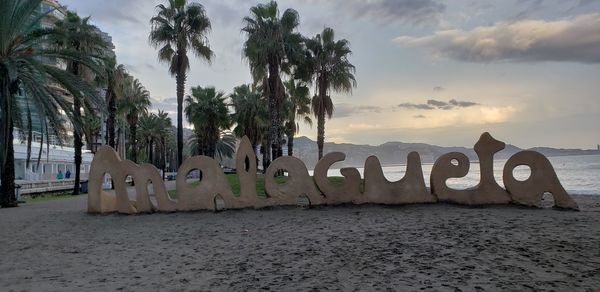 Panoramic shot of palm trees on beach against sky