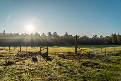 Scenic view of field against clear sky