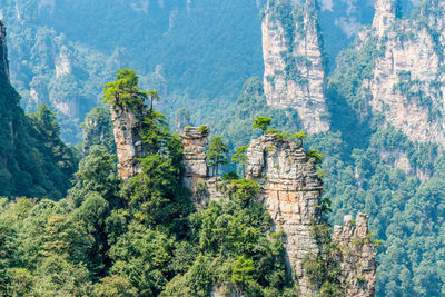 Scenic view of hangjiajie national forest park