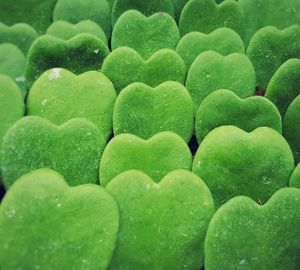 Full frame shot of fruit