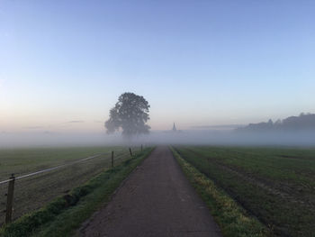 Morning fog over meadows