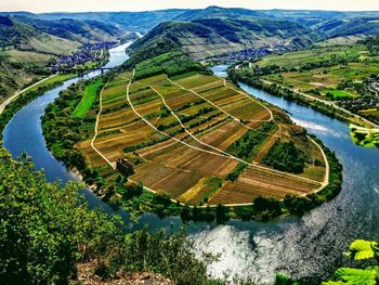 High angle view of agricultural field