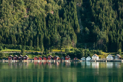 Scenic view of lake and trees in forest