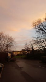 Bare trees by road at sunset