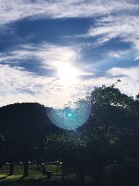 Low angle view of silhouette trees against sky