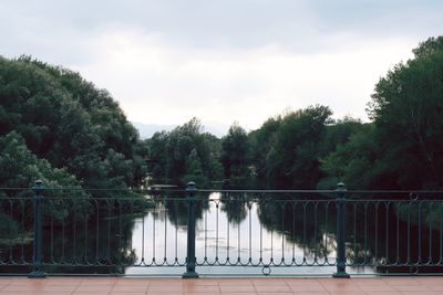 Trees by bridge against sky