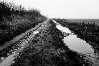 Road passing through field