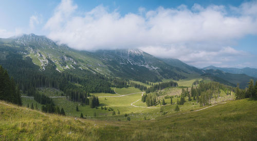 Misty mountain view in slovenia