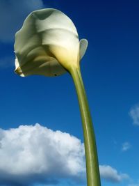 sky