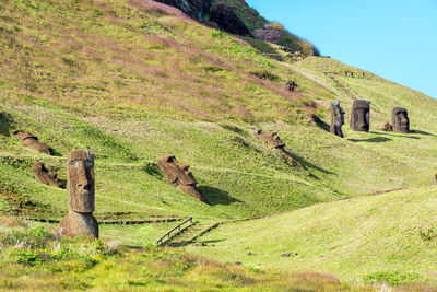 Moai statues on rano raraku mountain