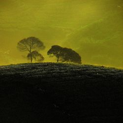 Silhouette trees on field against sky at night