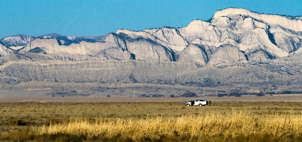 Horse on mountain against blue sky
