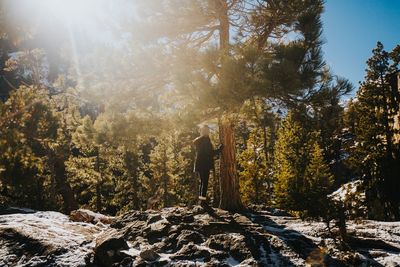 Rear view of person standing by trees in forest during winter