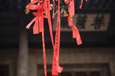 Low angle view of text on red ribbon against temple