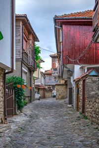 Narrow alley amidst houses in town