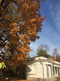 Low angle view of tree by building against sky