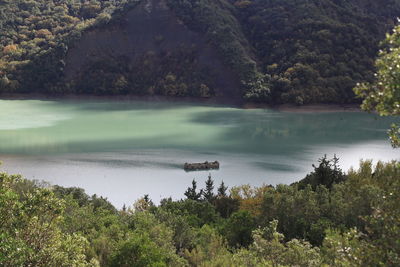 High angle view of lake amidst trees in forest