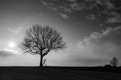 Bare tree on field against sky