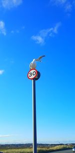 Low angle view of information sign on road against sky