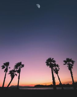 Silhouette palm trees against sky during sunset