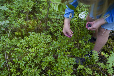 Low section of woman holding plant