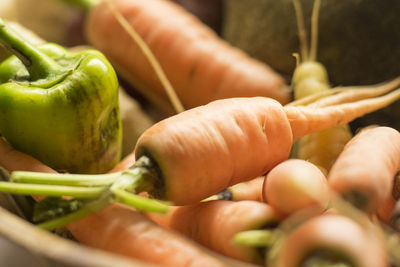 Close-up of vegetables