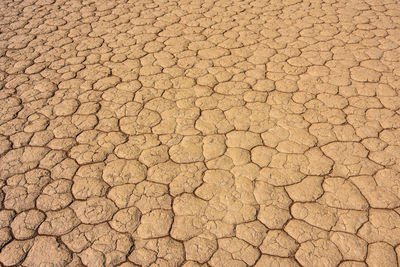 The arid and dry desert of namibia