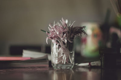 Close-up of flowers on table