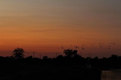 Silhouette birds flying against orange sky