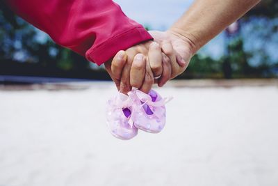 Close-up of hand holding purple flower