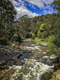 Scenic view of waterfall in forest against sky