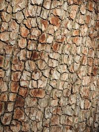 Full frame shot of brick wall