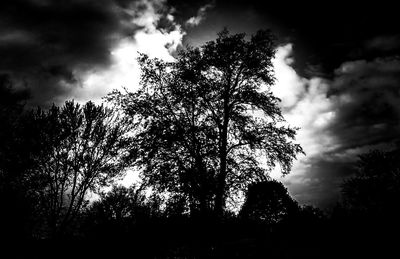 Low angle view of silhouette trees against cloudy sky