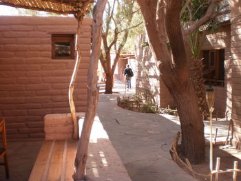 Footpath leading to building