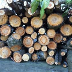 Full frame shot of logs