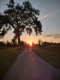 Road amidst trees on field against sky at sunset