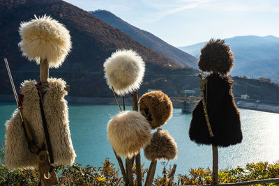 View of sheep on field against sky