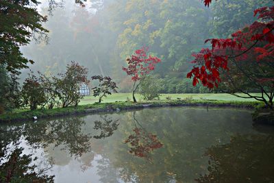 Reflection of trees in lake during autumn