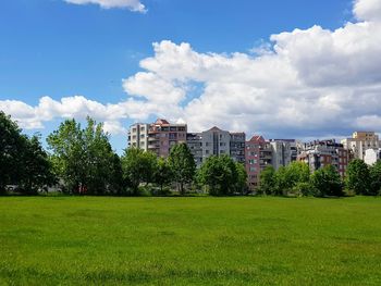 Trees and plants growing in field against buildings in city