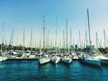 Boats moored at harbor