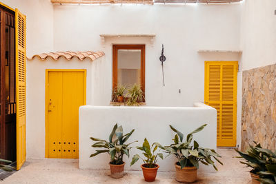 Exterior of typical white residential house with bright yellow doors and yard decorated with various potted plants on sunny day in balearic islands