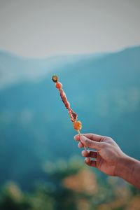 Close-up of hand holding food in skewer against mountain