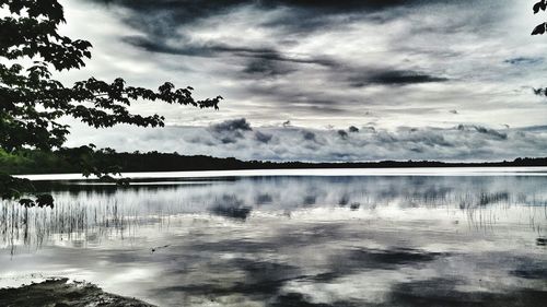 Birds in lake against sky