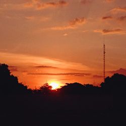 Silhouette trees against sky during sunset